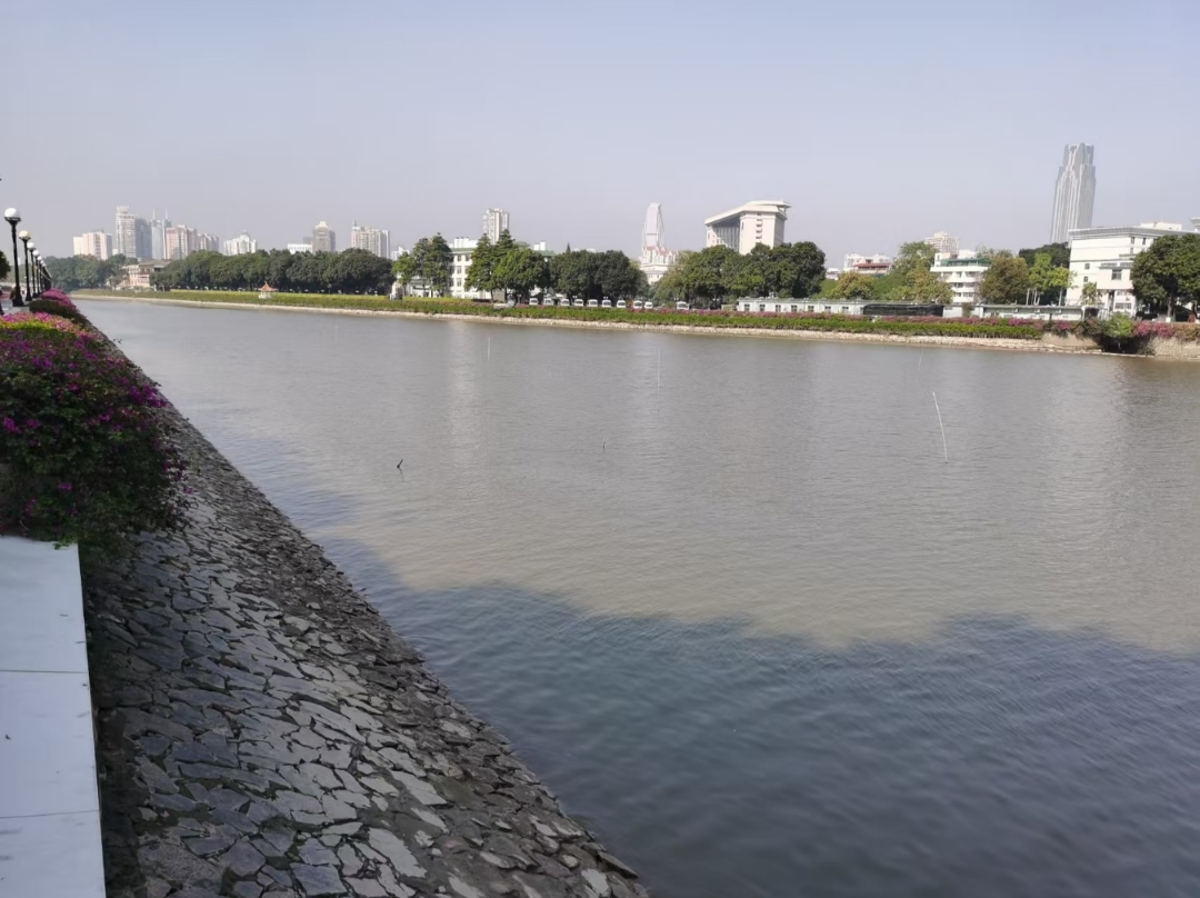 珠江清淤后.png